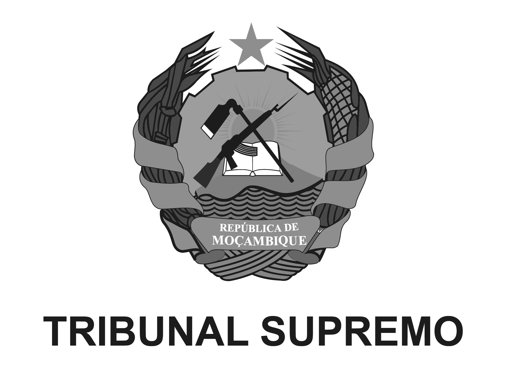 Tribunal Supremo